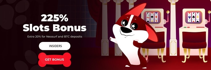 Red Dog Casino Review – No Deposit Codes 2023